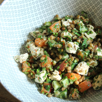 Image of Lentil Apricot Salad 1