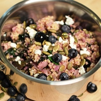Image of warm millet blueberry and kale salad