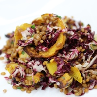 Image of Farro & Delicata Squash Salad.