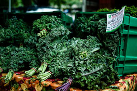 Image of fresh kale