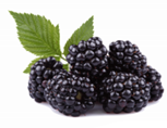 Image of blackberries