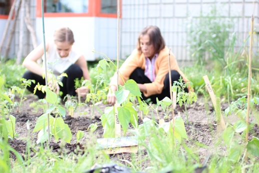 image of volunteers working in the Real Food Garden