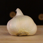 Image of garlic