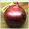 Image of a red onion