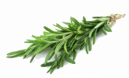 Image of rosemary