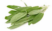 Image of sage