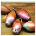 Image of shallots