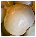 Image of a white onion