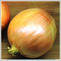 Image of a yellow onion