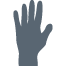 raised hand icon