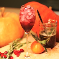 Image of a glass of the Sparkling Rosemary & Cranberry Mocktail