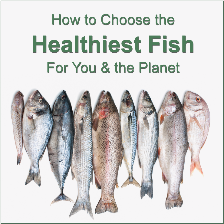 Image of How To Choose the Healthiest Fish for You and the Planet