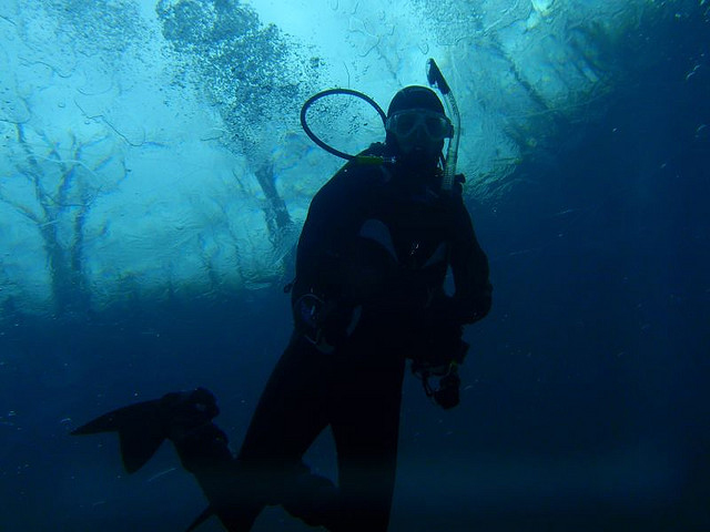 Image of scuba diver in the water